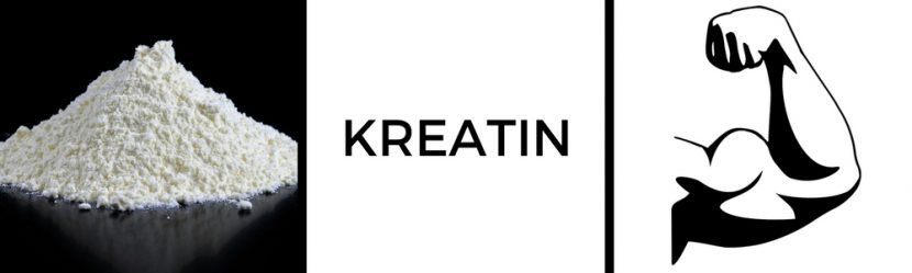 kreatin